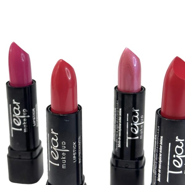 Lapiz Labial - pack x6