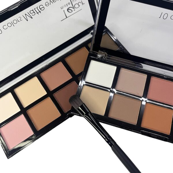 Sombras matte x 10 colores