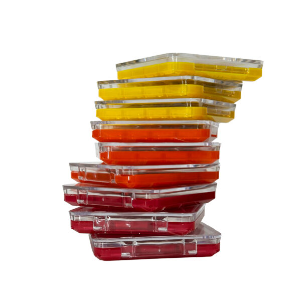 Paleta de sombras x 12 colores matte y shinning envase de color - Imagen 2