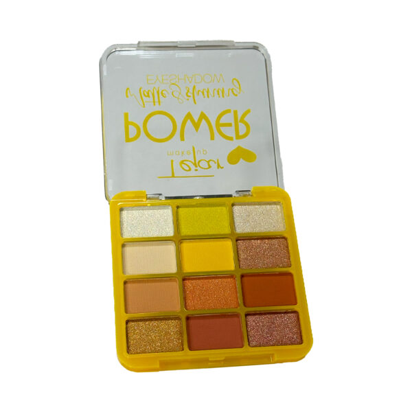 Paleta de sombras x 12 colores matte y shinning envase de color - Imagen 3