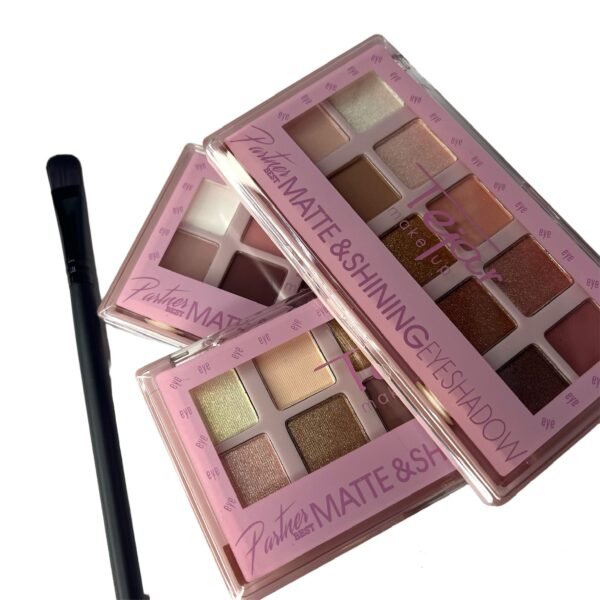 Sombra para ojos matte&shinning x10 colores