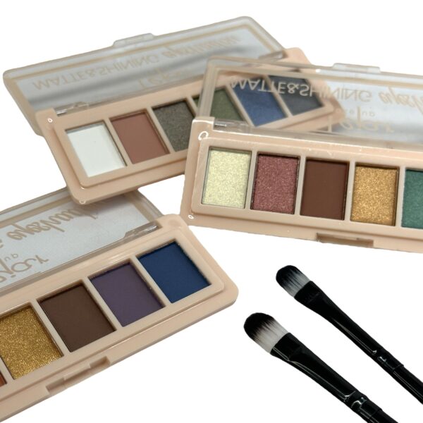 SOMBRA SHINNING & MATTE X 6 COLORES